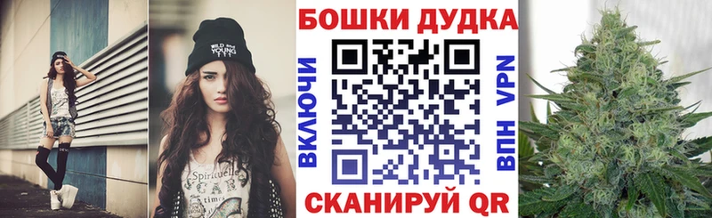 Купить закладку Бошки Шишки  Бутират  А ПВП  Галлюциногенные грибы  ГАШИШ  Меф мяу мяу  Заречный