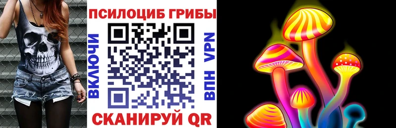 Купить  Заречный  Псилоцибиновые грибы Magic Shrooms 